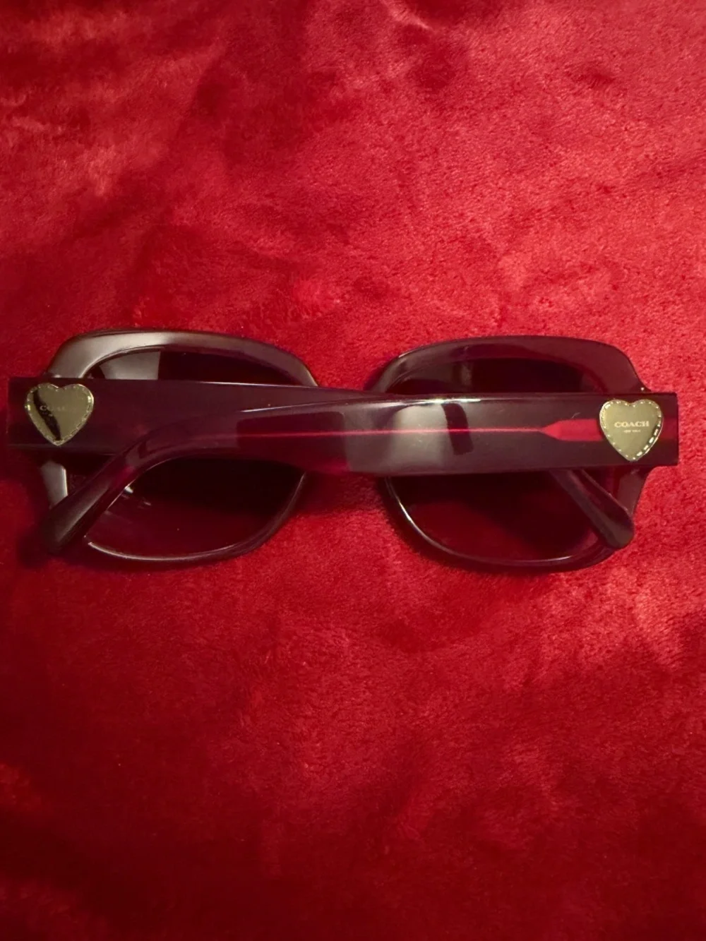 Coach Zoey sunglasses